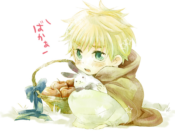 ファイル 31-1.jpg